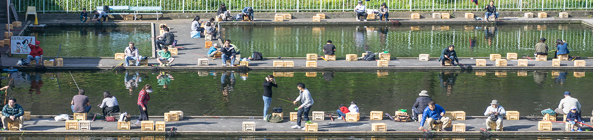 fishing bait