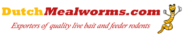 dutchmealworms logo