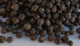 Aqua clay pepples