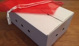 shipping